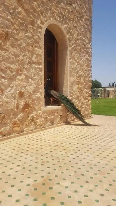 Gite Ferme Avec Piscine Privee Agadir Casa de Férias