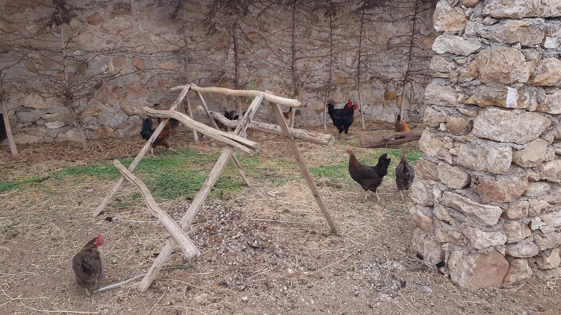 Gite Ferme Avec Piscine Privee Agadir 0*,