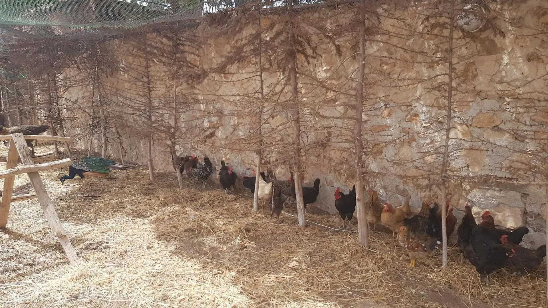 Gite Ferme Avec Piscine Privee Agadir Casa de Férias