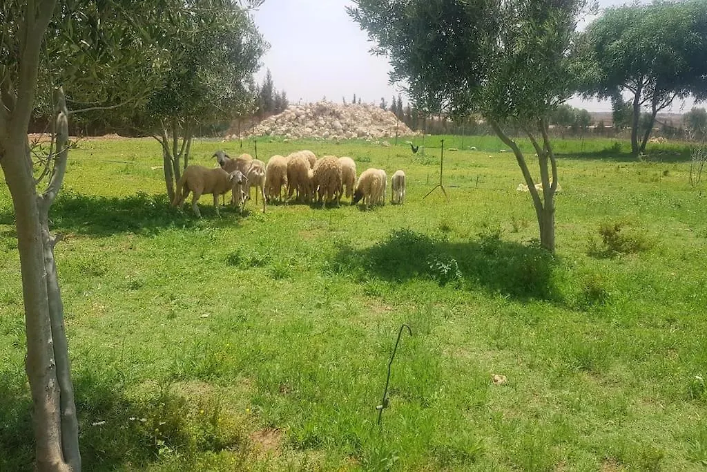 Holiday home Gite Ferme Avec Piscine Privee Agadir Morocco