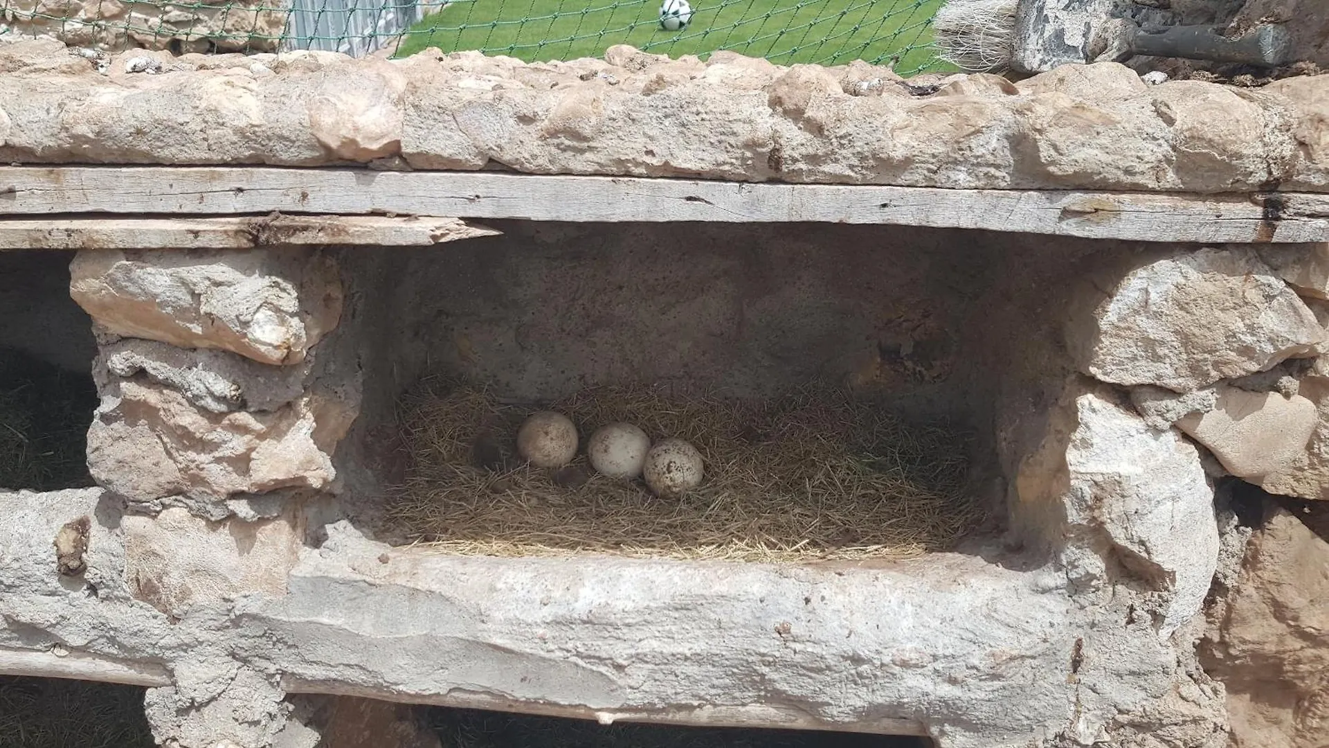 Gite Ferme Avec Piscine Privee Agadir Morocco