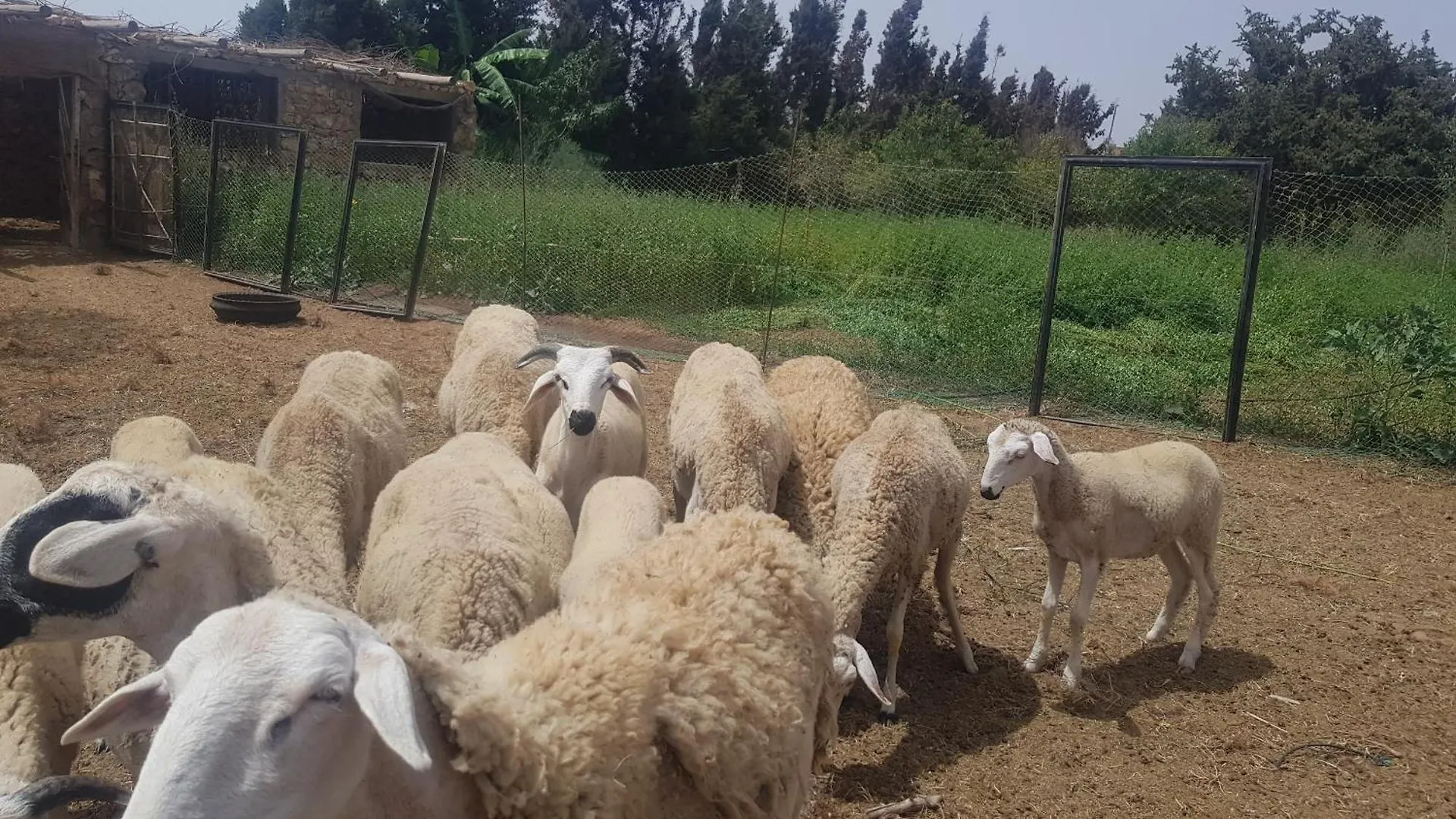 Gite Ferme Avec Piscine Privee Agadir