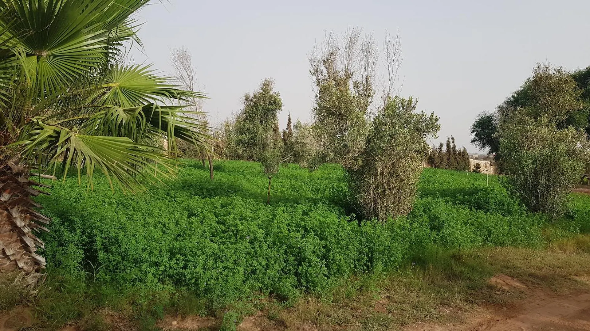 Gite Ferme Avec Piscine Privee Agadir 0*,