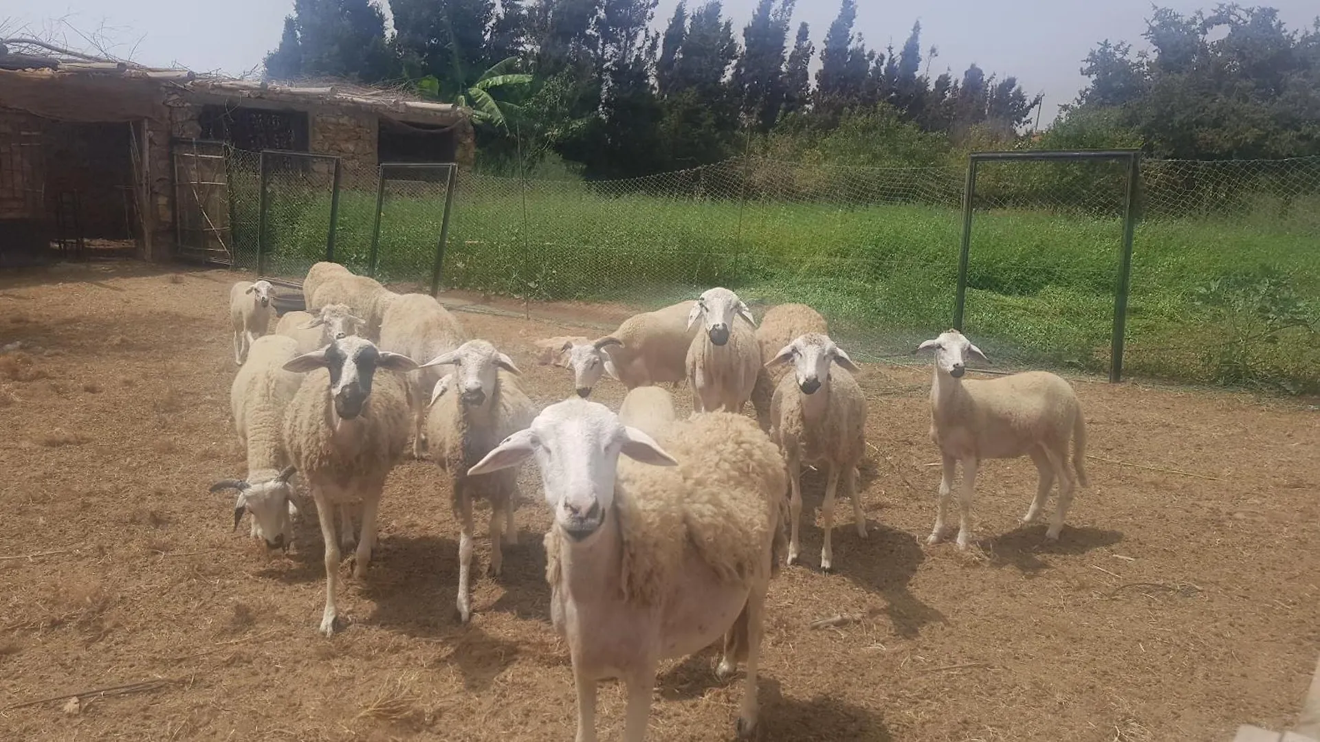 Gite Ferme Avec Piscine Privee Agadir