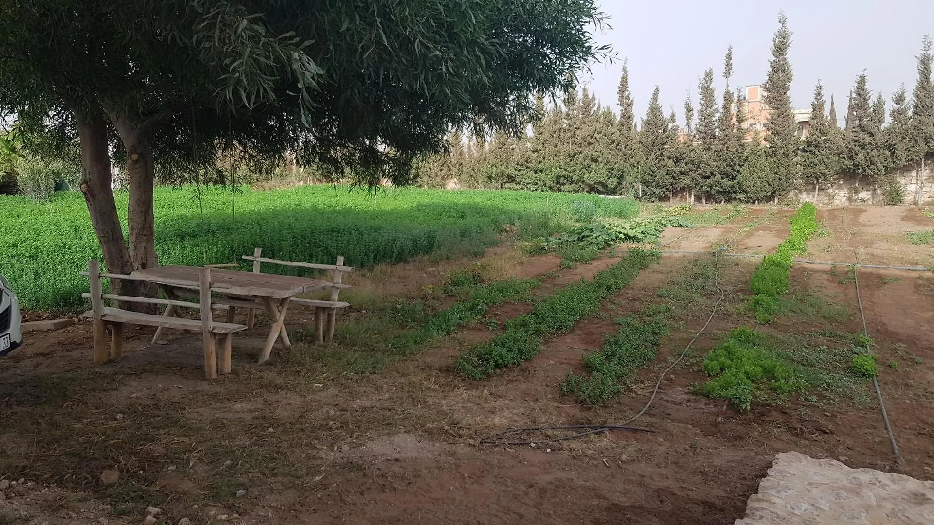 Gite Ferme Avec Piscine Privee Agadir Holiday home