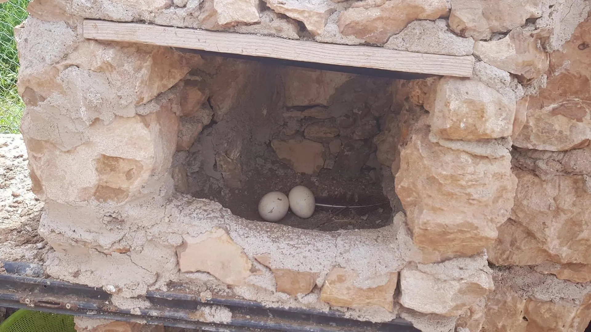 Gite Ferme Avec Piscine Privee Agadir Morocco